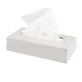 Akashdeep  Tissue Box