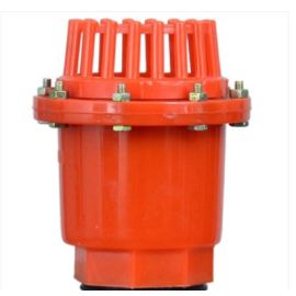 Shyam High Quality PVC Foot Valve