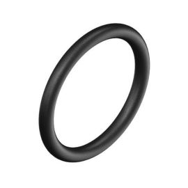 Ami Polymer Viton O-Rings