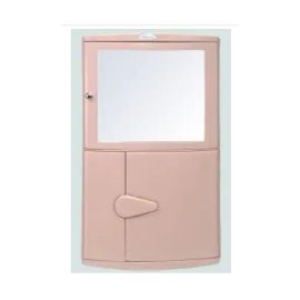 SEAGULL Plastic Double Door With Mirror Corner Cabinet